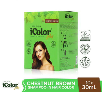 Picture of iColor + Shampoo In Hair Color Chestnut Brown 30mlx10's