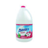 Picture of Zonrox Bleach Floral