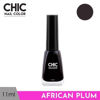 Picture of Chic Nail Color 11ml