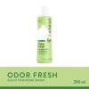 Picture of Lactacyd Odor Block Daily Feminine Wash